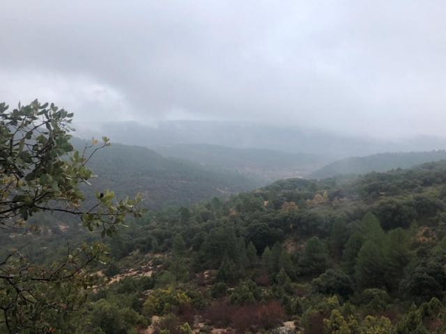 Casa Rural La Labranza Sacedón Dış mekan fotoğraf